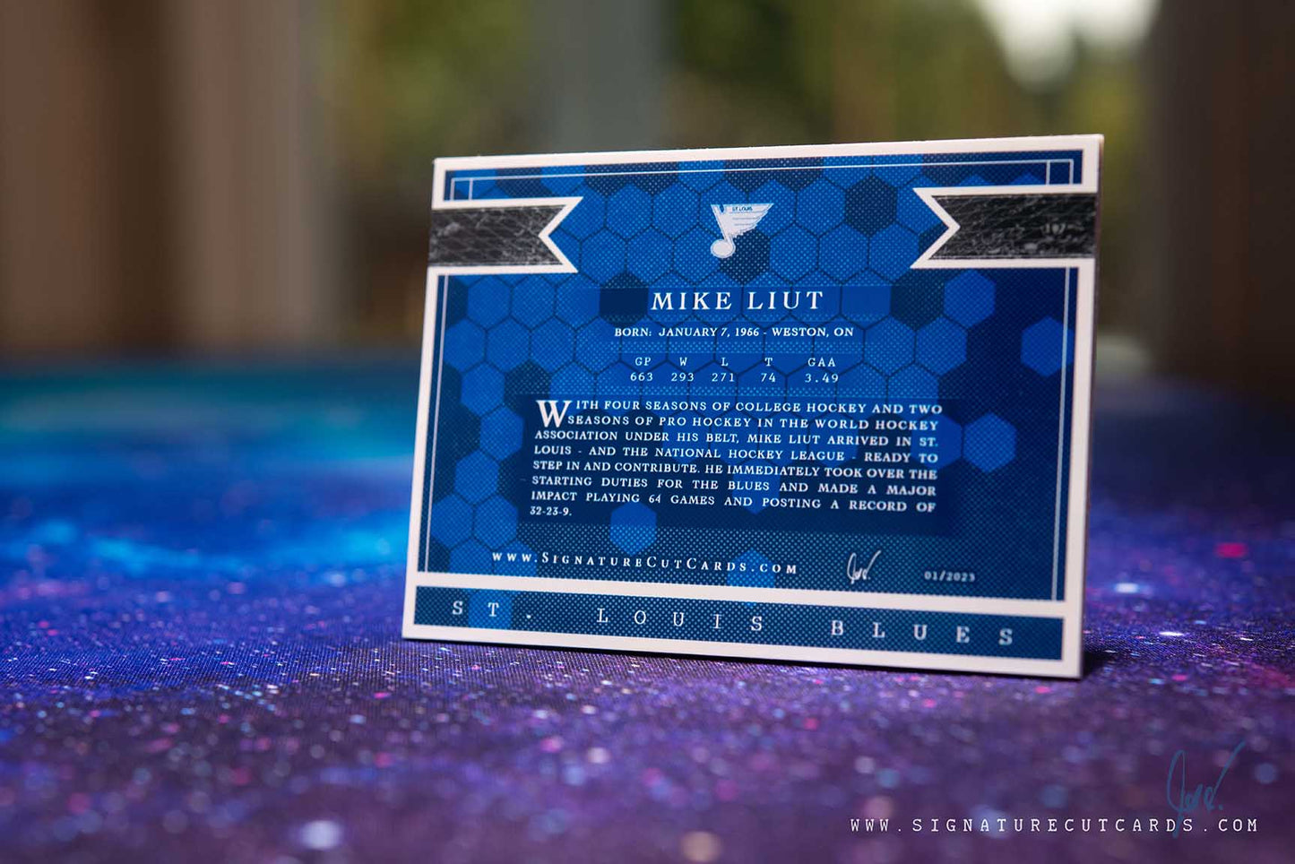 Mike Liut St. Louis Blues Expansion Era Signature Cut Card