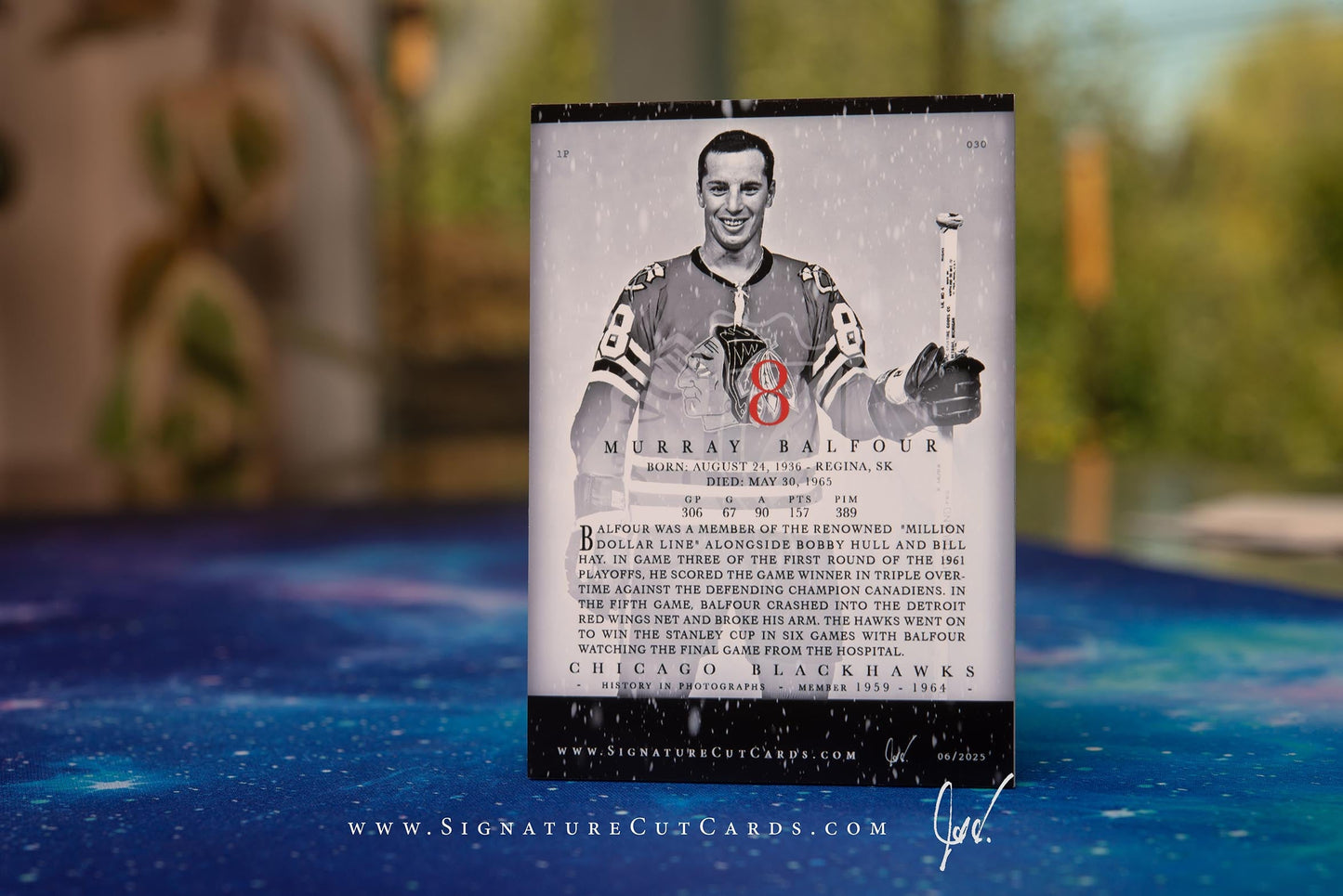 Murray Balfour Chicago Blackhawks History in Photographs Signature Cut Card