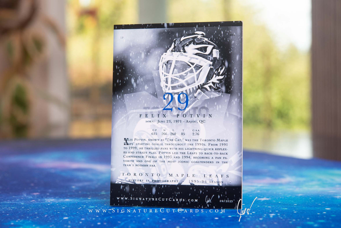 Felix Potvin Toronto Maple Leafs History in Photographs Signature Cut Card