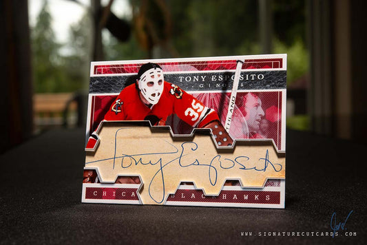 Tony Esposito Chicago Blackhawks Expansion Era Signature Cut Card